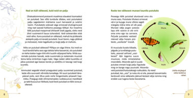 Putukaraamatu näidislehed 8-9