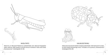 Putukaraamatu värvimise vihiku näidislehed 4-5