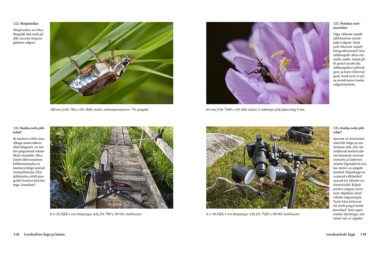 fotoõpiku Loodusfoto lugu ja lumm näidislehed 118-119