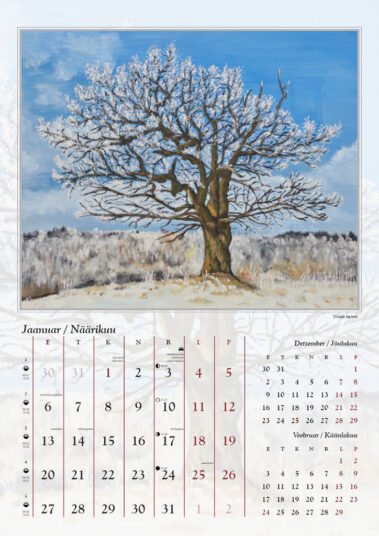 Maalide kalender 2020 jaanuar