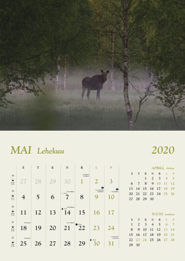 Pille Metsakalender 2020 Mai