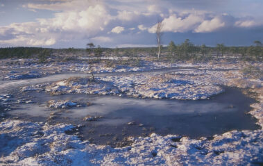 Inga Tartese näitus Loovuse allikad MAFF2020. Lugu ja lumm