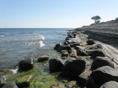 Inga Tartese näitus Loovuse allikad MAFF2020. Lugu ja lumm