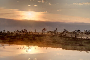 Inga Tartese näitus Loovuse allikad MAFF2020. Lugu ja lumm