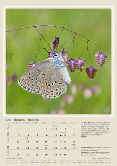 Urmas Tartes Putukakalender 2021