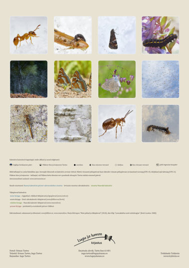 Urmas Tartes Putukakalender 2021