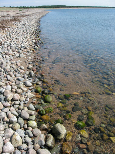 Inga Tartese näitus Loovuse allikad MAFF2020. Lugu ja lumm