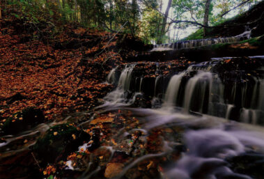 Inga Tartese näitus Loovuse allikad MAFF2020. Lugu ja lumm