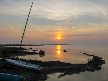 Inga Tartese näitus Loovuse allikad MAFF2020. Lugu ja lumm