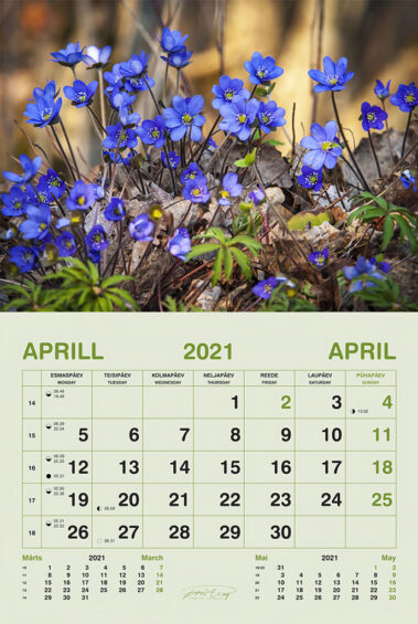 Tõnu Lingu autorikalender