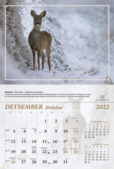 Kristjan Noormets kalender 2022