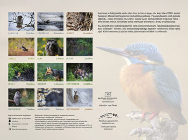 Kristjan Noormets kalender 2022