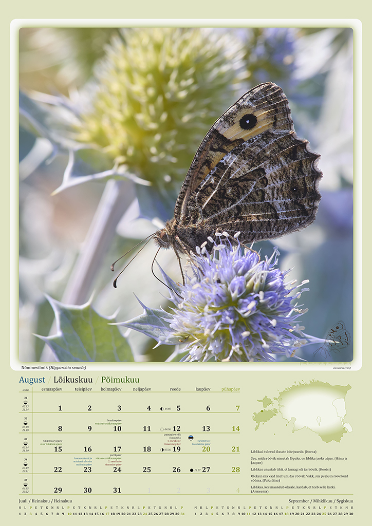 Urmas Tartes Putukakalender 2022