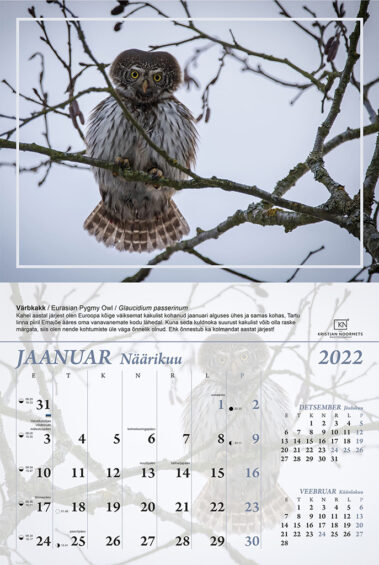 Kristjan Noormets kalender 2022