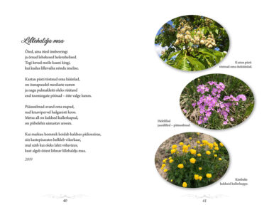 Ja tähed langevad koidikul