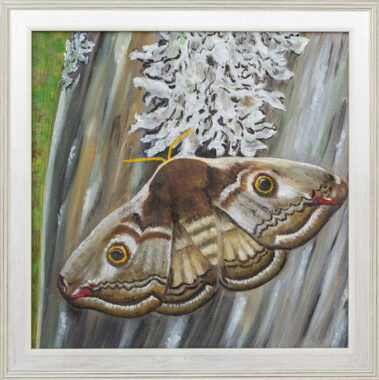 Kevadpaabusilm (õlimaal)