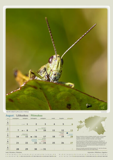 Urmas Tartes Putukakalender 2023