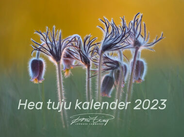 Hea tuju kalender 2023