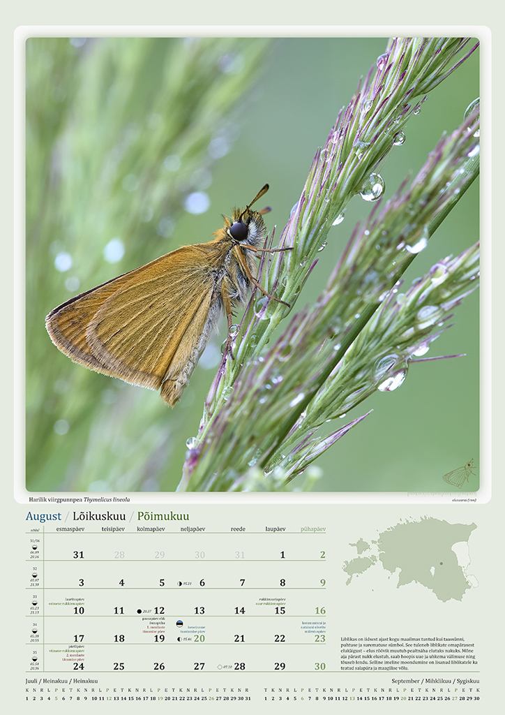 Putukakalender 2026