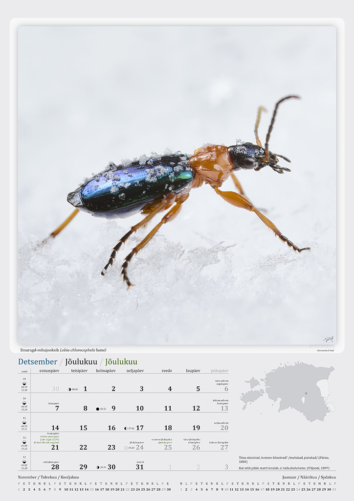 Putukakalender 2026