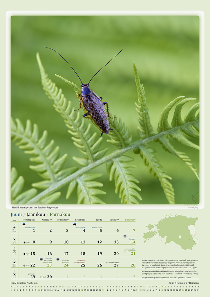 Putukakalender 2026