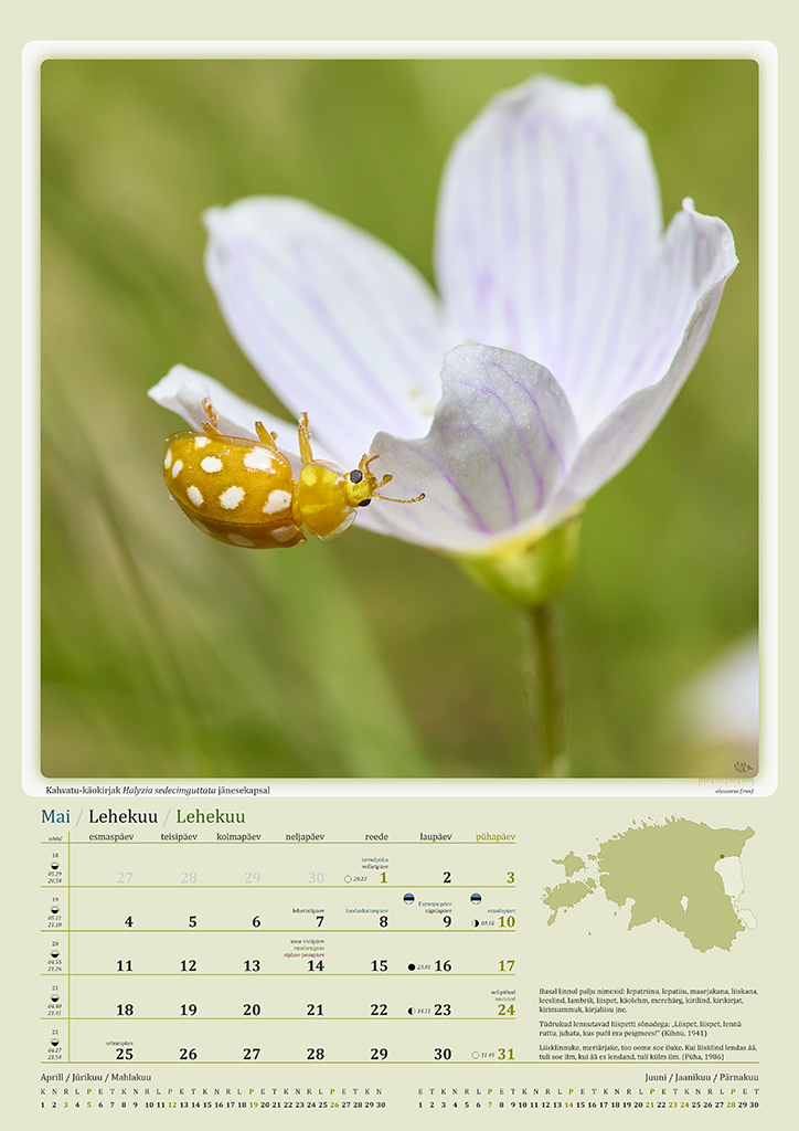Putukakalender 2026